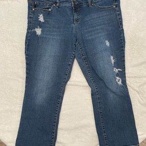 Cute capris from torrid